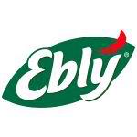 logo-ebly-détection de gaz fixe Hesion